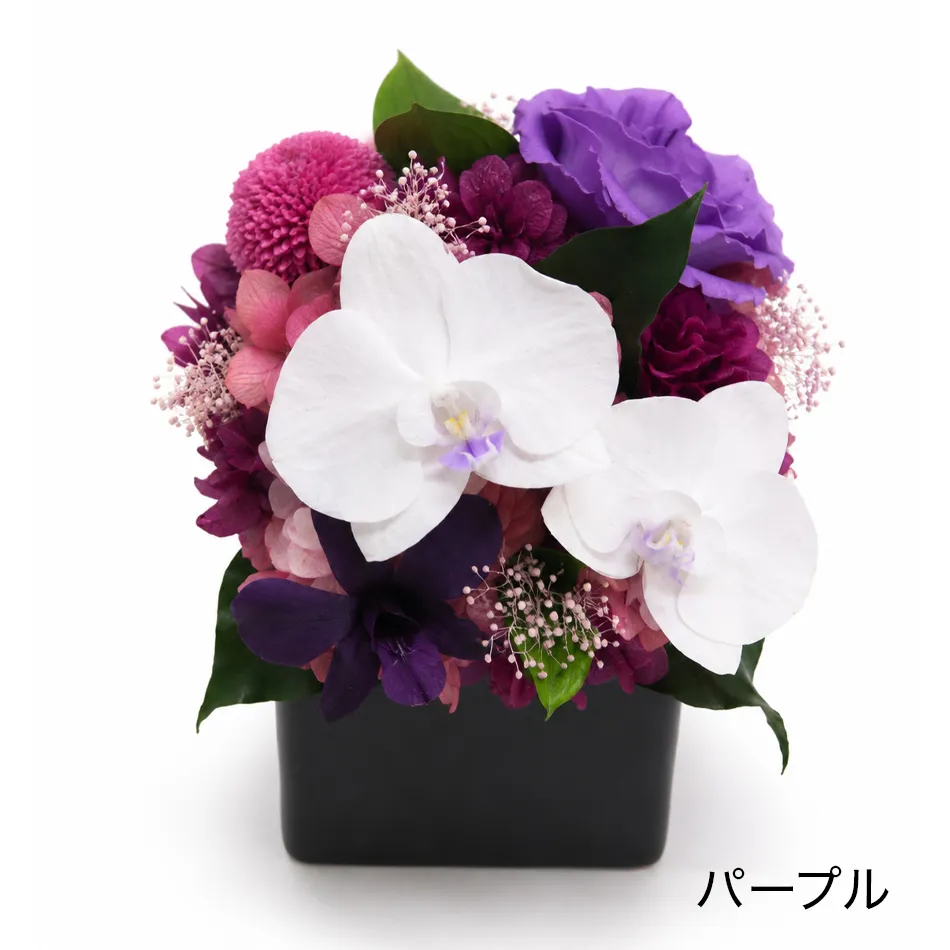 パープル